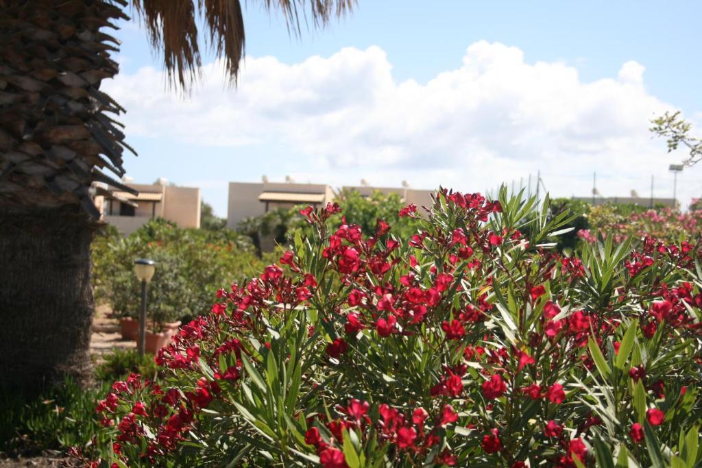 Residence Punta Longa Favignana Kültér fotó